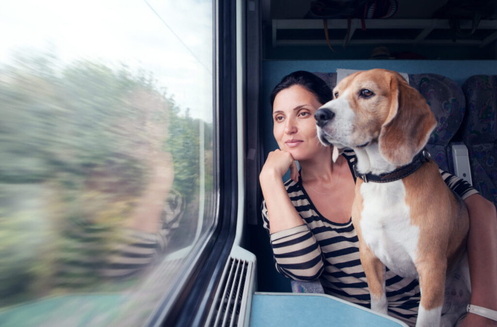 AVE Madrid-Barcelona: más facilidades para viajar con tu perro