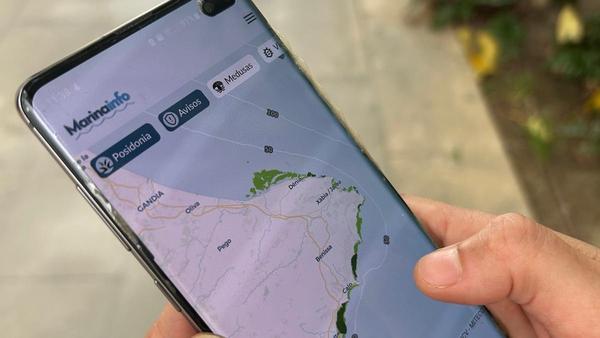 MarinaInfo: la app para denunciar la pesca ilegal o los vertidos al mar