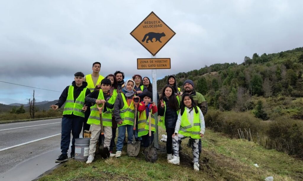 Minga por la Fauna convocó a más de 200 personas para resguardar especies nativas en Chiloé