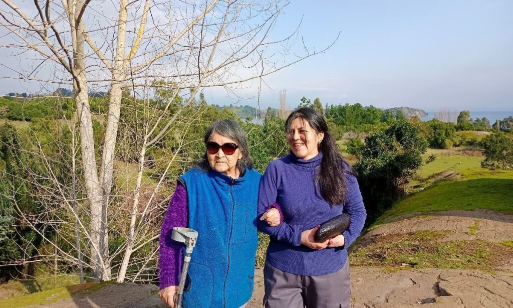 Organización internacional destaca trabajo de restauración de bosque de mujer mapuche en Isla Huapi