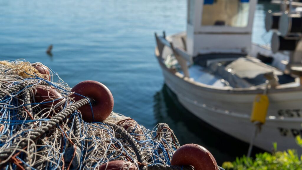 Qué es la Pesca sostenible y qué podemos hacer para apoyarla