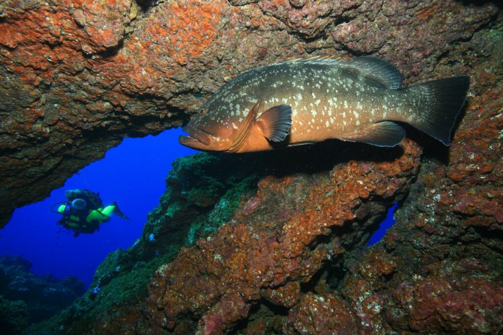 Teresa Ribera visita el Mar de las Calmas, la joya ambiental de la isla de El Hierro