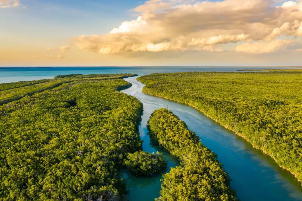 Uruguay: un país respetuoso con el medio ambiente