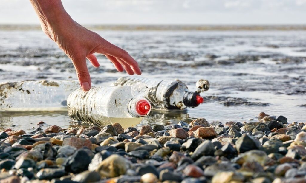 Chiloé se alista para jornada masiva de limpieza de playas