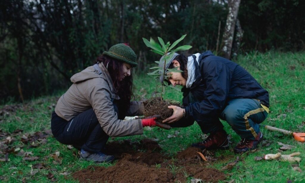 "Cleta Forestación" convoca a valdivianos a entretenida jornada de plantación de árboles nativos