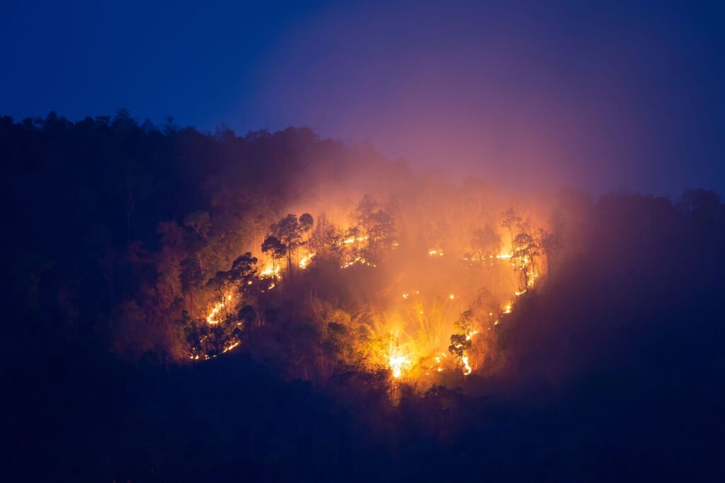 Andalucía previene incendios forestales en sus montes públicos