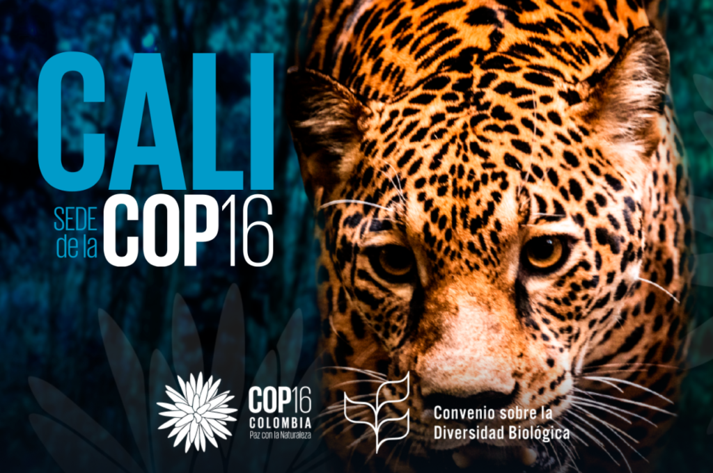 COP16 de la Biodiversidad: ¿Qué papel jugará el Gobierno de España?