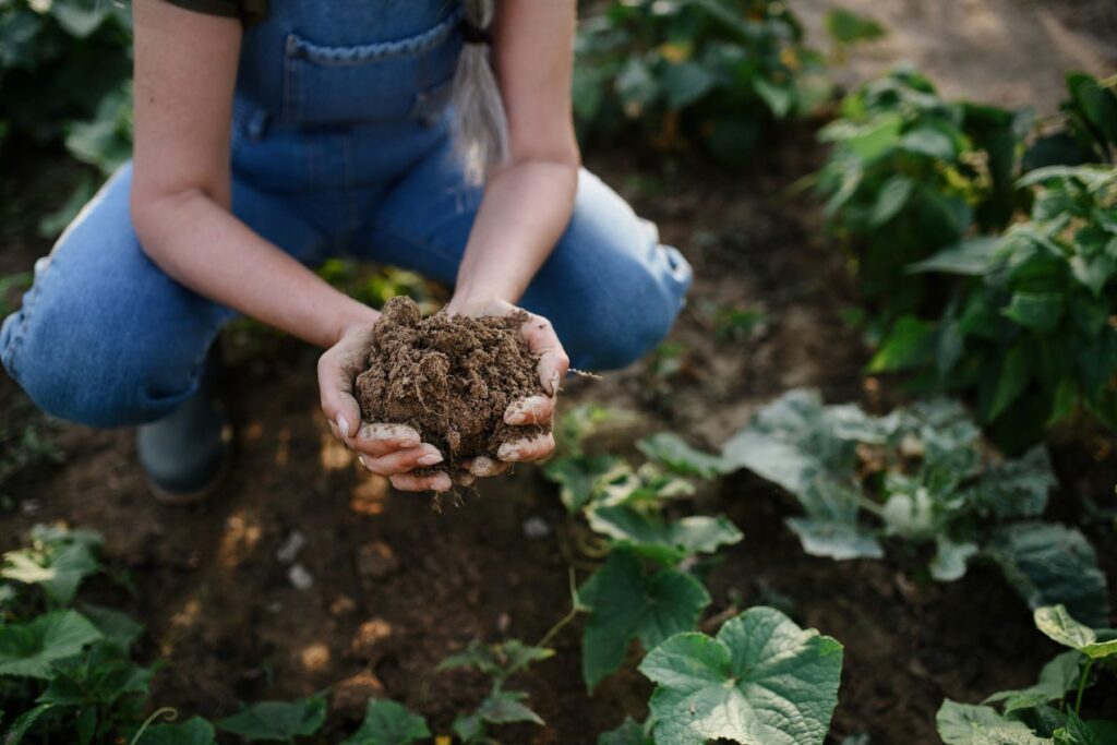 Descubre los beneficios de la agricultura regenerativa para los productores