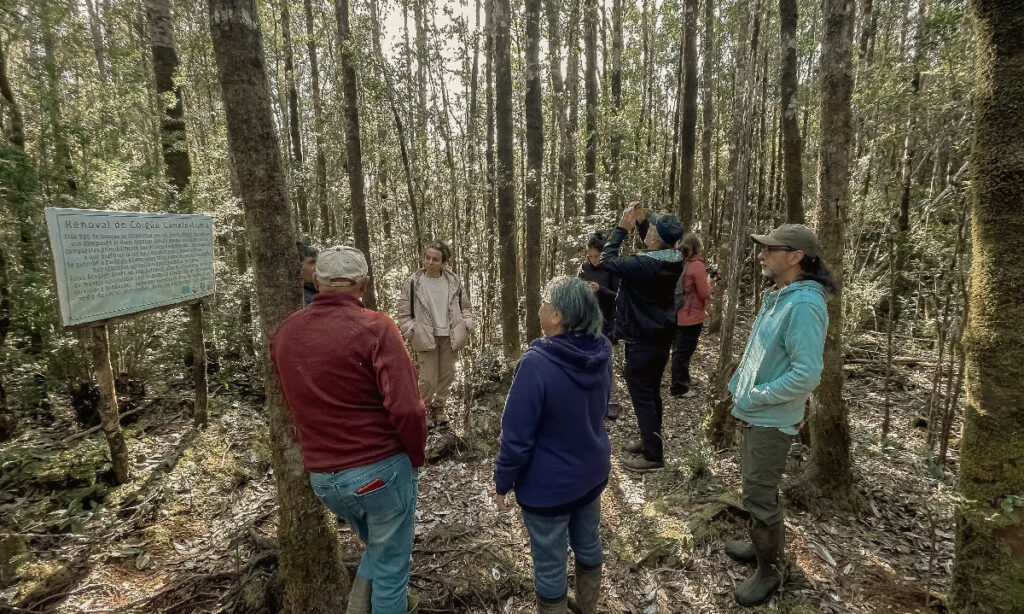 Emprende+ Regenerativo: construyendo comunidades resilientes en Chiloé