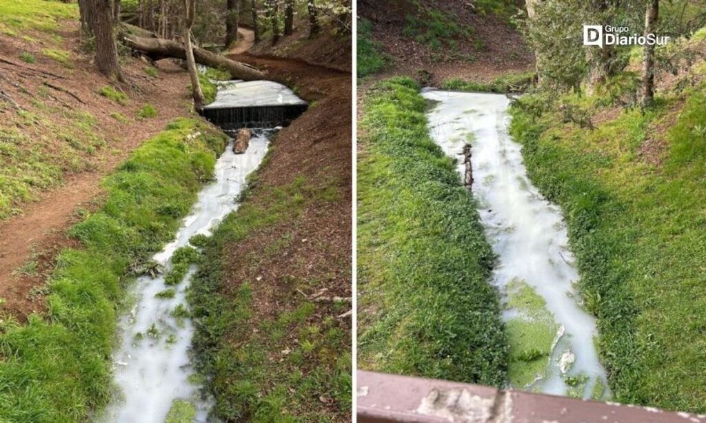 Formalizan denuncias por contaminación de estero en Osorno