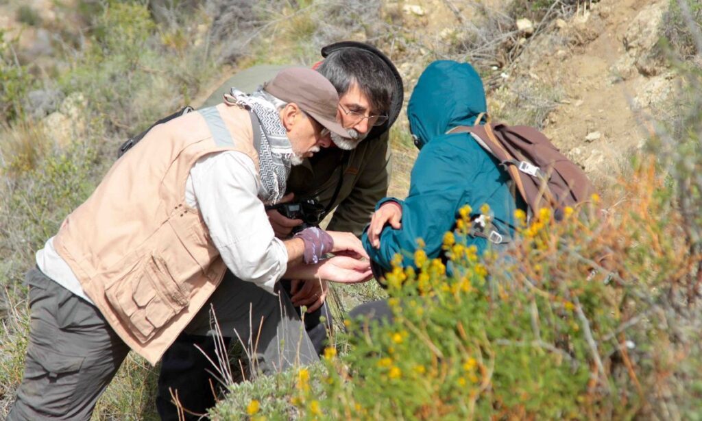 Lanzan curso gratuito sobre la Ruta de los Parques de la Patagonia para el sector turístico