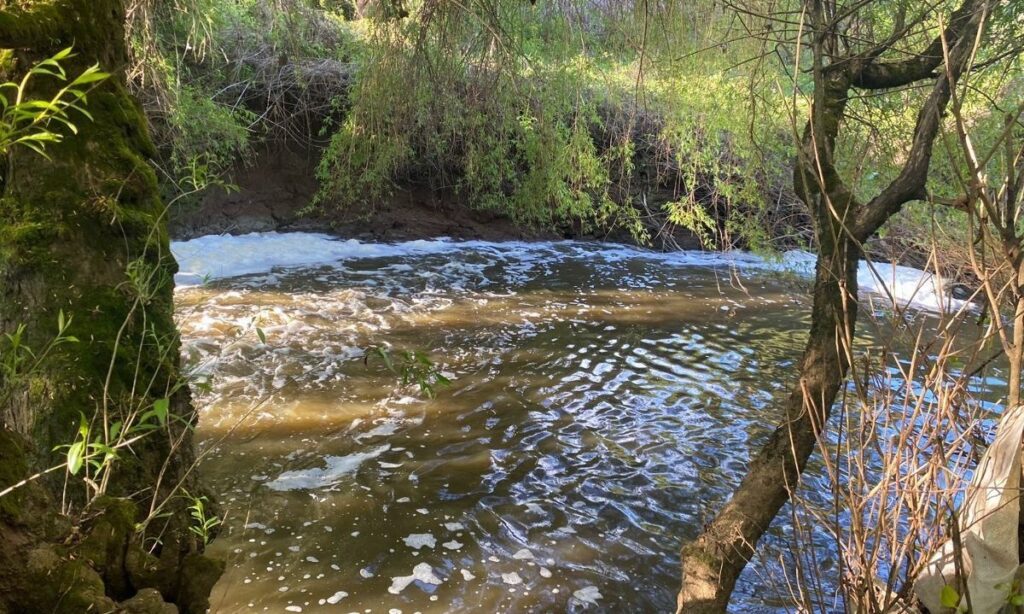 PDI realiza primeras diligencias por posible contaminación en estero Radimadi de La Unión