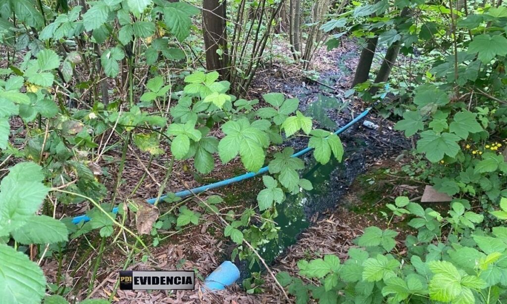 Sorprenden a sujetos descargando aguas servidas en Santuario de la Naturaleza Humedales Angachilla