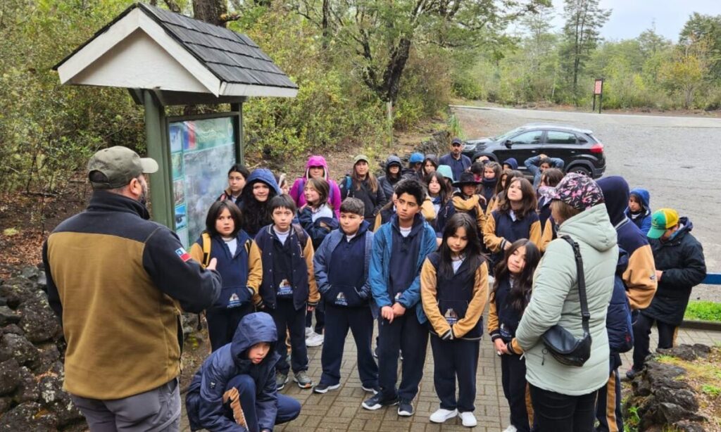 Estudiantes puertomontinos aprenden de resguardo de la naturaleza y conservación ambiental