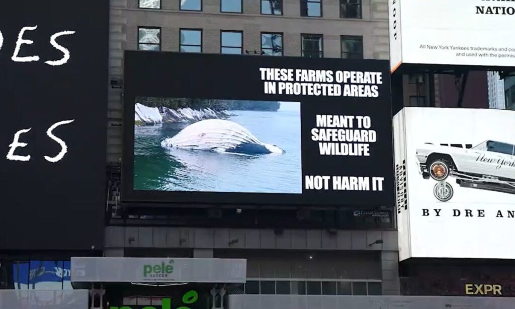 Llamado a la acción: pantallas gigantes de Nueva York proyectan a ballenas muertas en la patagonia