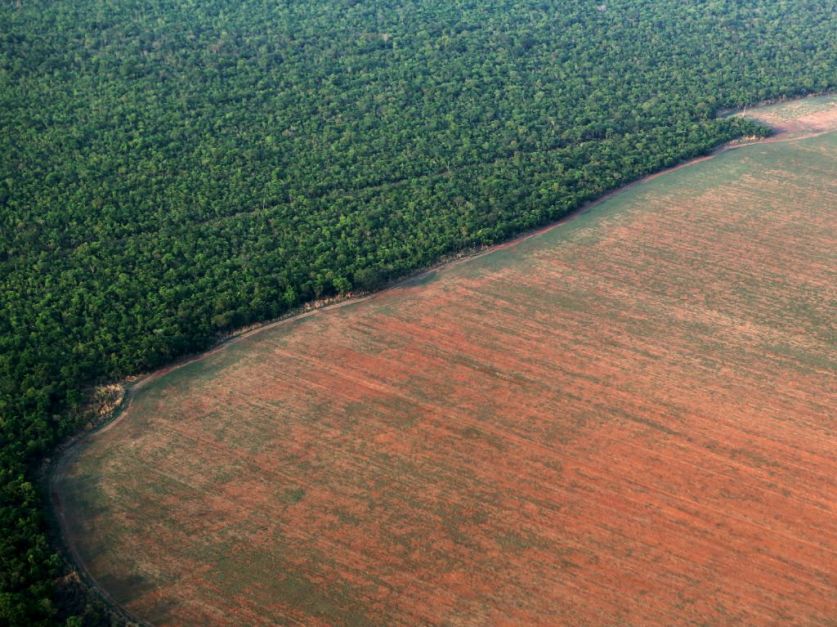 Reglamento de Deforestación de la UE (EUDR): el populismo y la extrema derecha están desmantelando el ‘Pacto Verde’ de la UE