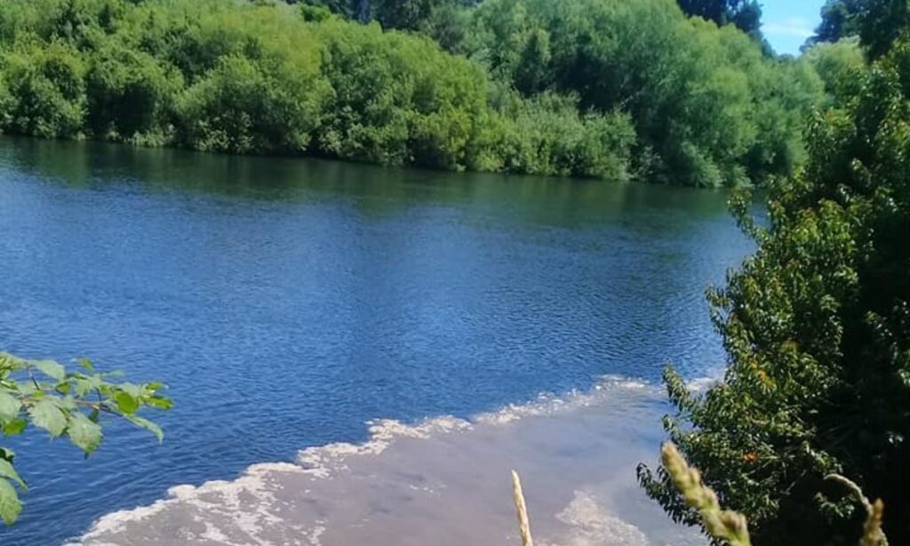 Reunión clave abordará descontaminación de los ríos Rahue y Damas en Osorno