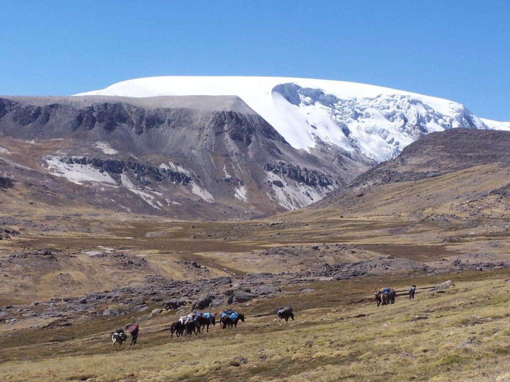 Andes peruanos: los suelos volcánicos de Arequipa no están adaptados al fuego