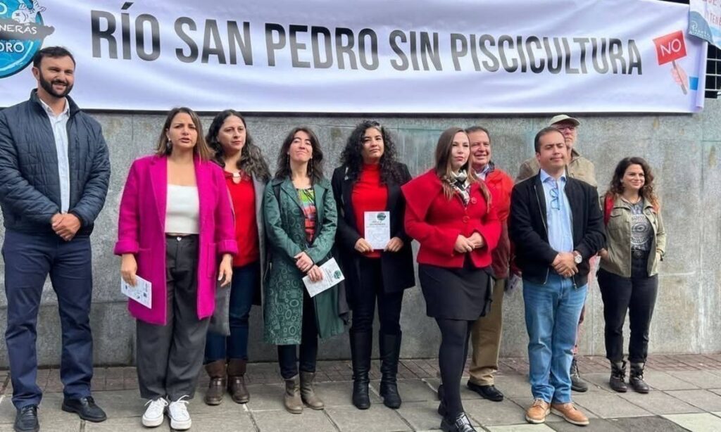 Con acción jurídica buscan detener megaproyecto salmonero en río San Pedro