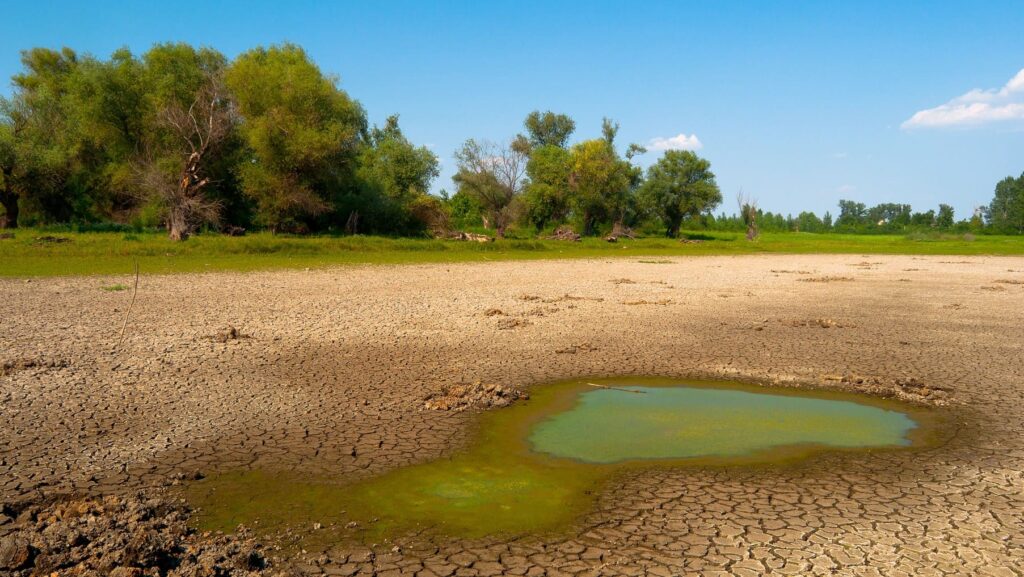 España sufre las consecuencias del calentamiento global experimentando una aridez climática nunca vista