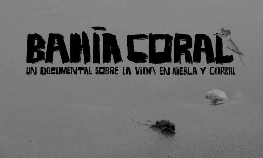 Estrenarán documental sobre la lucha ciudadana por la conservación de Niebla y Corral