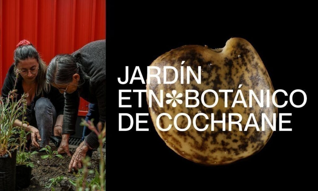 Lanzan campaña para inaugurar el primer Jardín Etnobotánico de la Región de Aysén