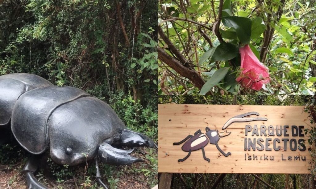 Parque de Insectos Ishiku Lemu: una fascinante experiencia educativa en la selva valdiviana