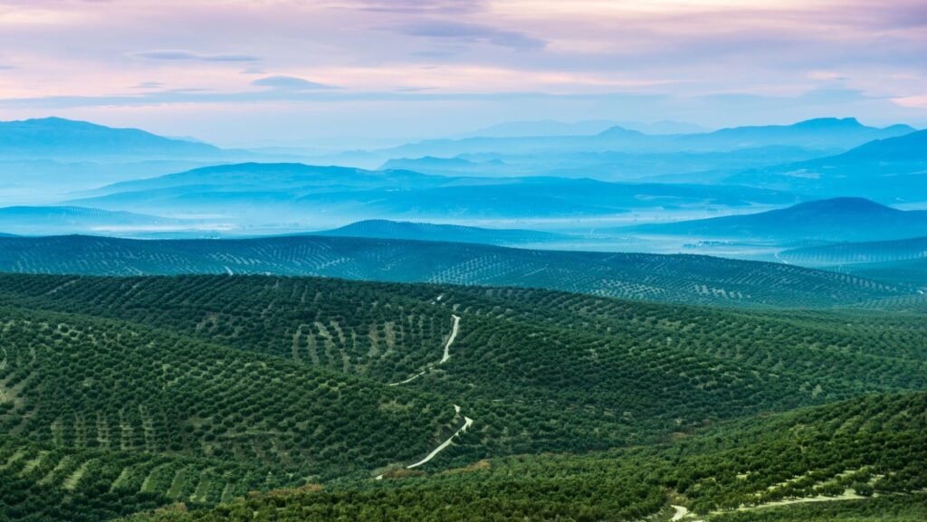 Visita el Aula de la Naturaleza en Bailén (Jaén) y conoce sus espacios naturales