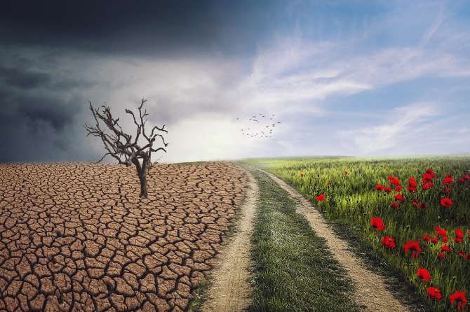 ¿Existe consenso sobre el cambio climático? Lo que dice realmente la ciencia