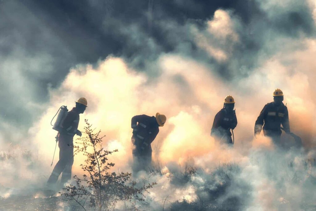 ¿Qué hacer si hay un incendio forestal cerca de mi casa?