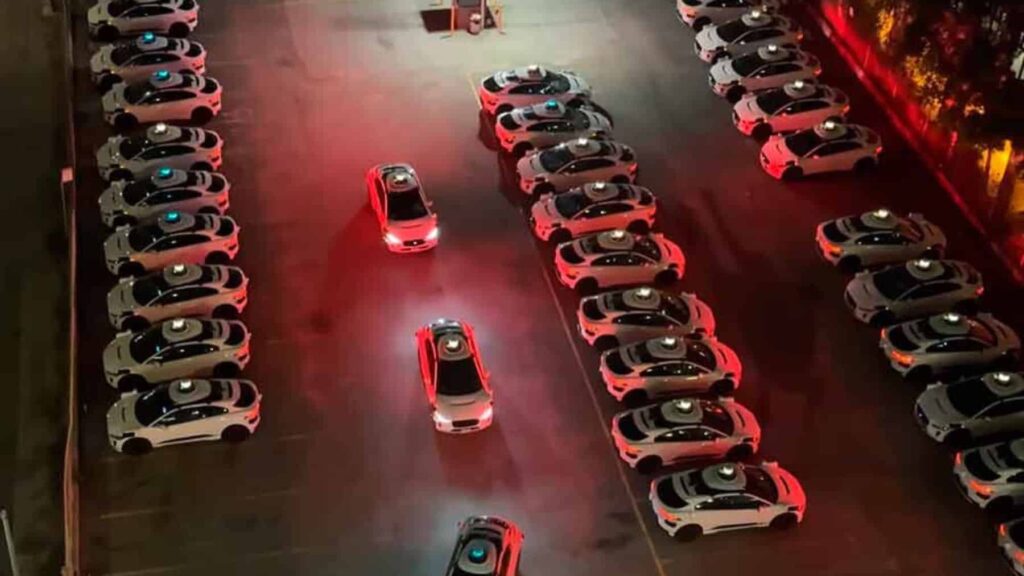 ¿Qué tienen en común los robotaxis autónomos y los gallos? Más de lo que podrías imaginar