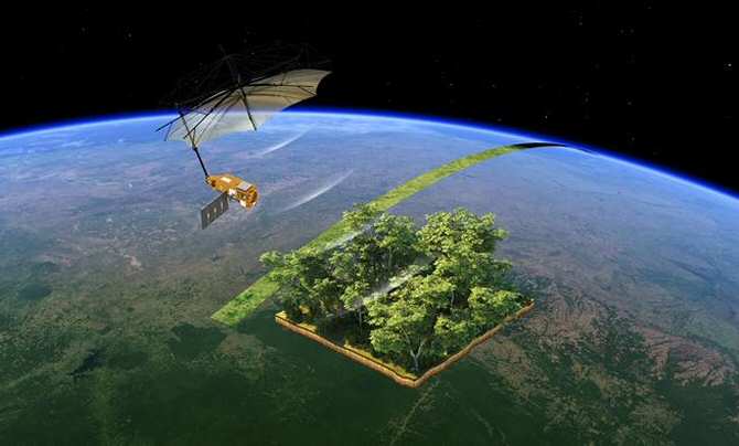 El guardián mundial de los bosques ya los vigila desde el espacio