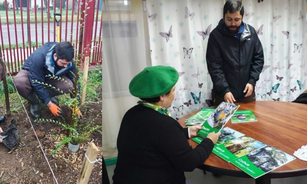 Escuela osornina recibe material educativo para complementar proyecto del primer bosque Miyawaki