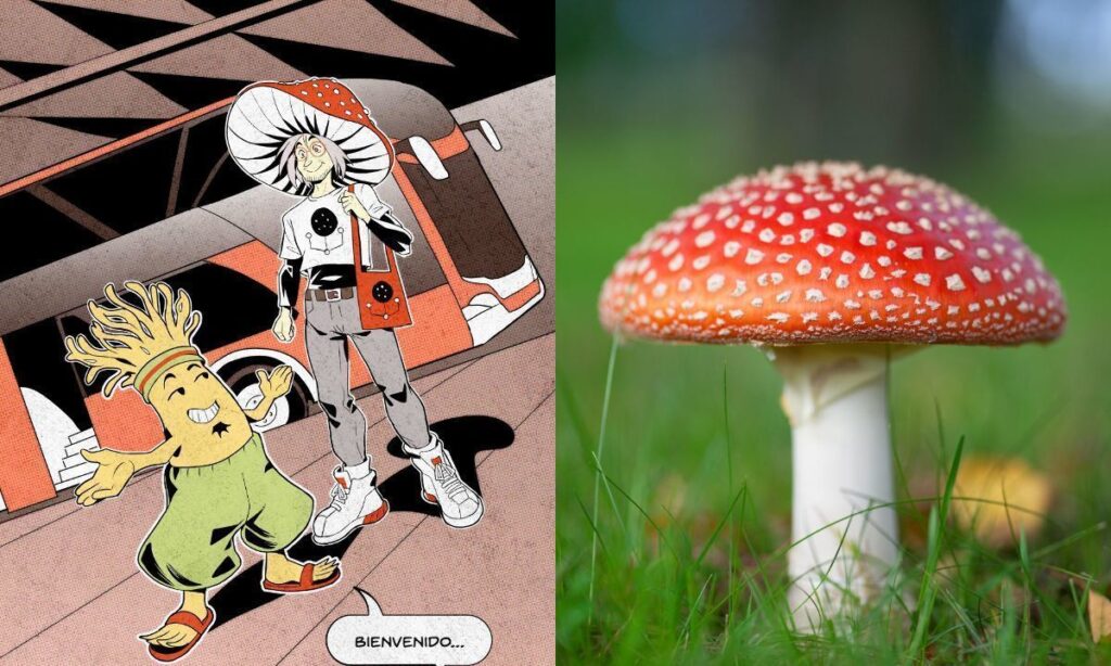 FungiFest 2025 presenta personaje del año con entretenido cómic