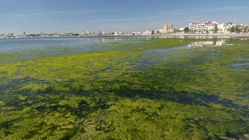La ‘ninguneada’ Ley de recuperación y protección del Mar Menor