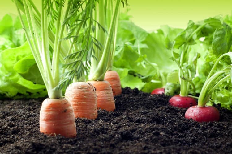 Manifiesto de Granollers: la ‘Red de Municipios por la Agroecología’ ayuda a frenar el cambio climático