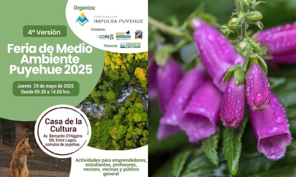 Realizarán cuarta versión de la Feria de Medio Ambiente Puyehue