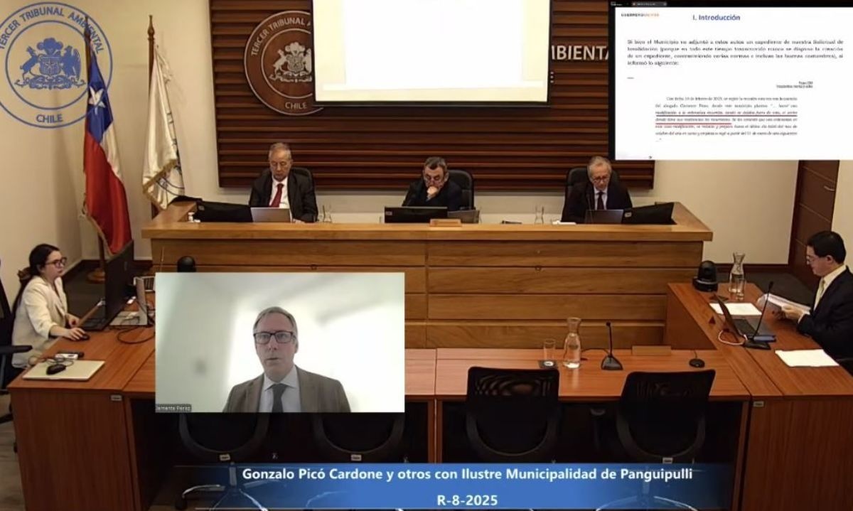 Tribunal Ambiental revisa reclamación contra municipio de Panguipulli por declaratoria de humedales rurales