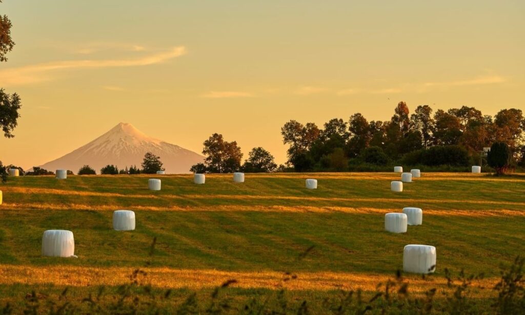AgroImpacta reunirá en Osorno a líderes del agro para impulsar la innovación y la sostenibilidad