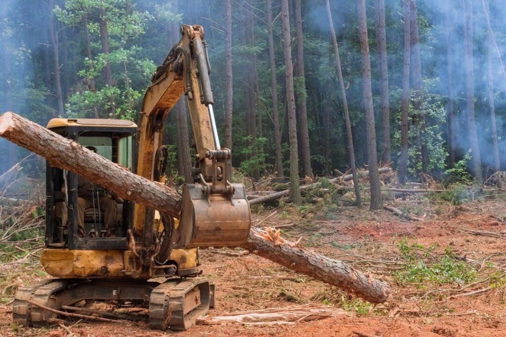 El ‘Proyecto de la devastación’ blanqueará la deforestación de la amazonía brasileña