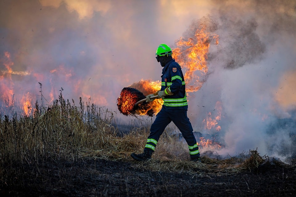 España: 2 grandes incendios forestales y  9.000 hectáreas arrasadas por el fuego en lo que va de 2025