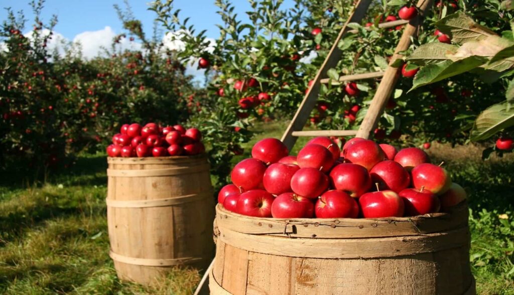 Fundación Biodiversidad reparte ayudas para proyectos de bioeconomía, sostenibilidad pesquera y empleo verde