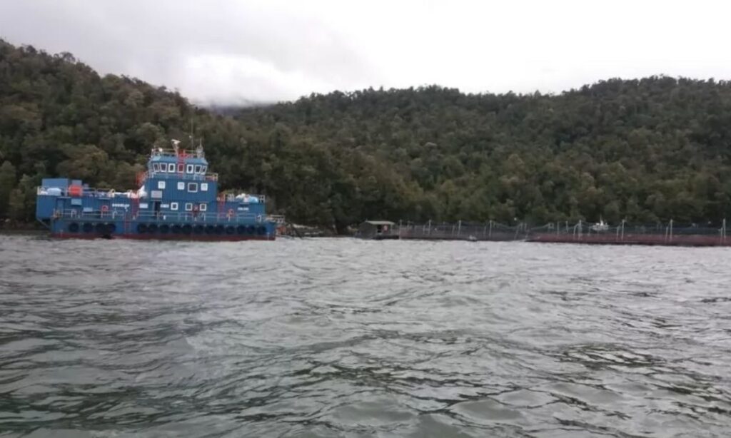 Rechazan reclamación de salmonera por cierre de centro de engorda en Aysén