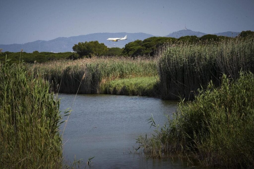 Todas las cosas que deberías saber sobre la ampliación del Aeropuerto Josep Tarradellas Barcelona – El Prat y algunas no te gustarán