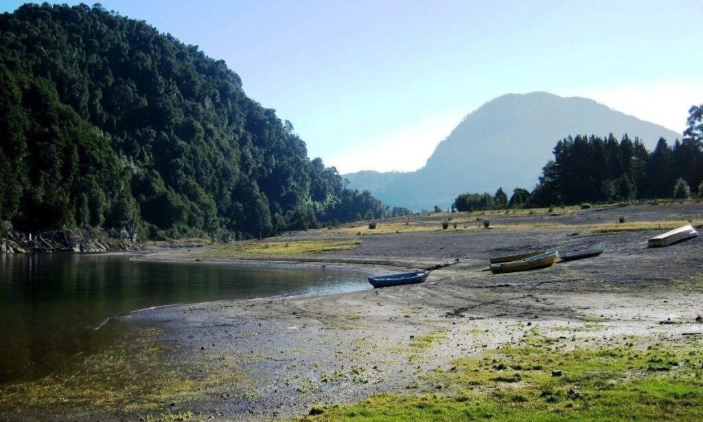 Tribunal declaró responsable a Colbún por daño ambiental grave en lago Chapo