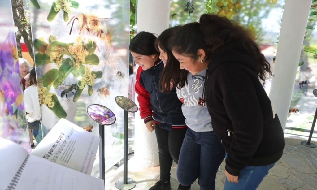Aún se puede postular a los concursos nacionales de Ciencia Pública