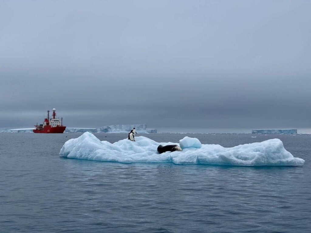 Con el deshielo del Planeta se liberan ‘bacterias multirresistentes’, con consecuencias imprevisibles para las especies