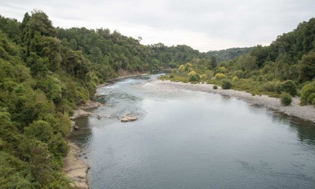 Consejo de Monumentos Nacionales ordena la paralización parcial de obras de piscicultura en río San Pedro