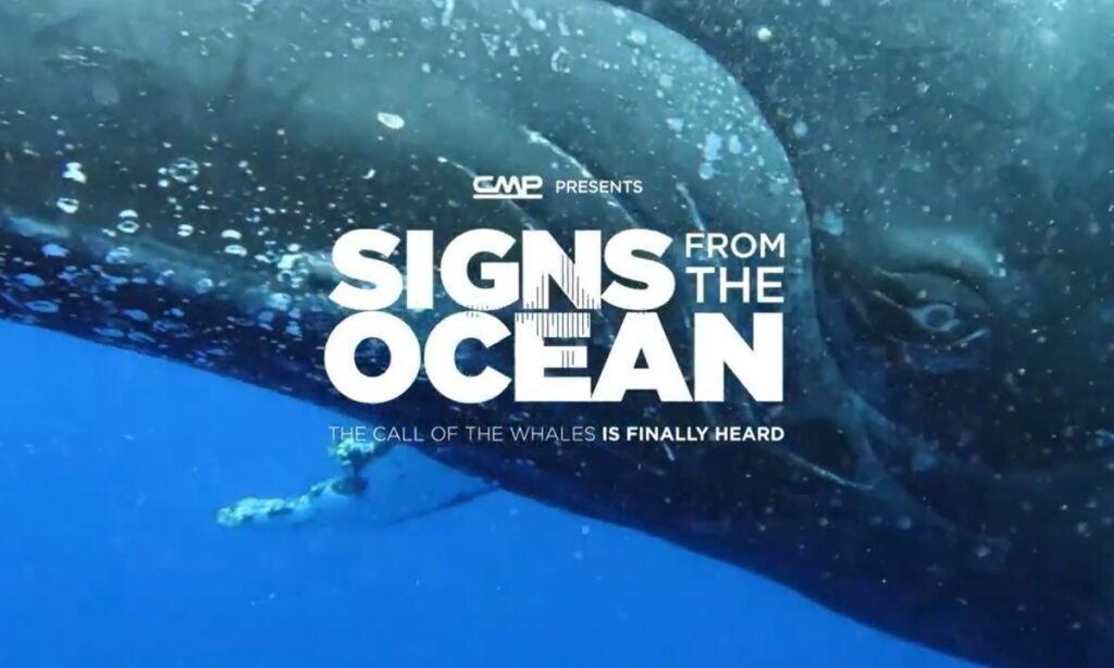 En Japón fue exhibido documental chileno que aborda la protección de la biodiversidad marina