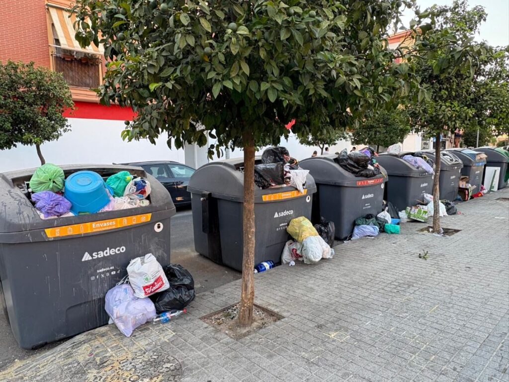 La limpieza de la ciudad de Córdoba es lamentable y FACUA lo denuncia